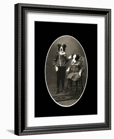 Border Collies-J Hovenstine Studios-Framed Giclee Print