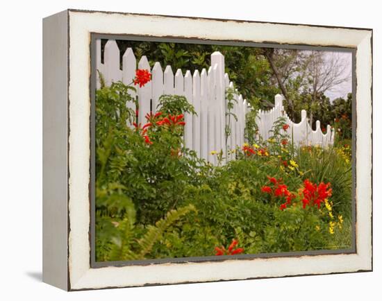 Border Garden, New Smyrna Beach, Florida-Lisa S. Engelbrecht-Framed Premier Image Canvas