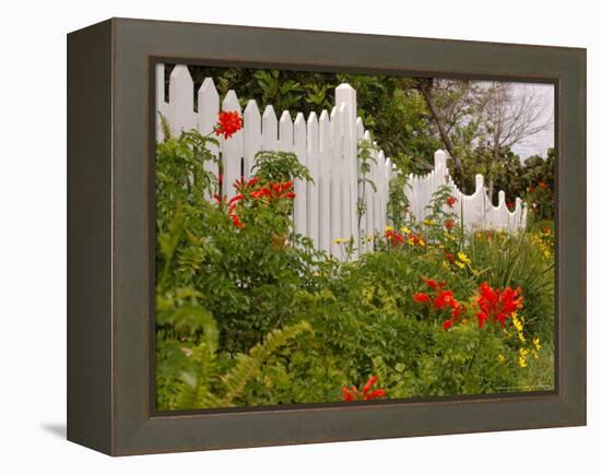 Border Garden, New Smyrna Beach, Florida-Lisa S. Engelbrecht-Framed Premier Image Canvas