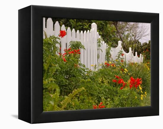 Border Garden, New Smyrna Beach, Florida-Lisa S. Engelbrecht-Framed Premier Image Canvas