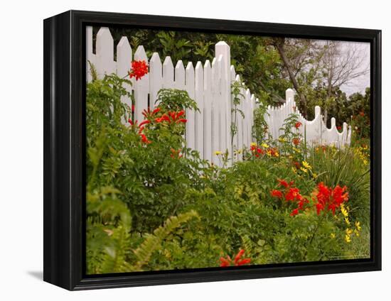 Border Garden, New Smyrna Beach, Florida-Lisa S. Engelbrecht-Framed Premier Image Canvas