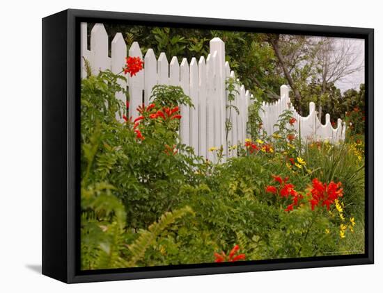 Border Garden, New Smyrna Beach, Florida-Lisa S. Engelbrecht-Framed Premier Image Canvas