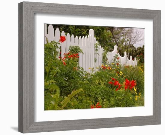 Border Garden, New Smyrna Beach, Florida-Lisa S. Engelbrecht-Framed Photographic Print