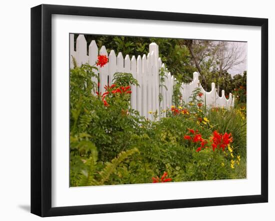 Border Garden, New Smyrna Beach, Florida-Lisa S. Engelbrecht-Framed Photographic Print