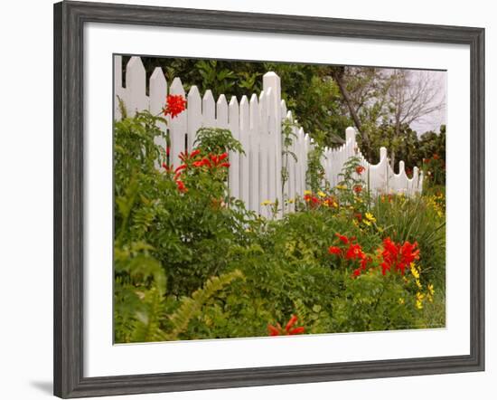 Border Garden, New Smyrna Beach, Florida-Lisa S. Engelbrecht-Framed Photographic Print