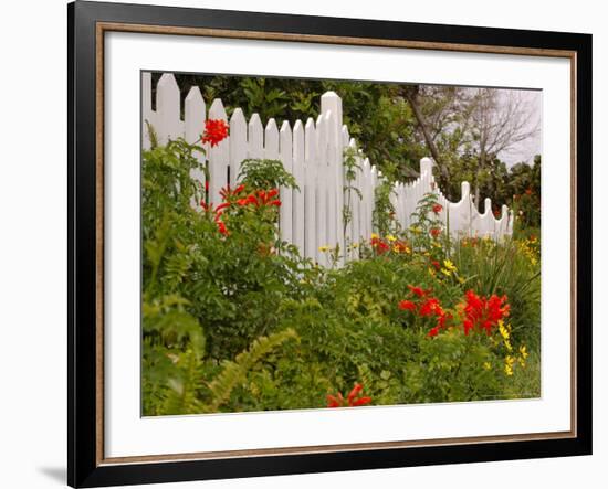 Border Garden, New Smyrna Beach, Florida-Lisa S. Engelbrecht-Framed Photographic Print