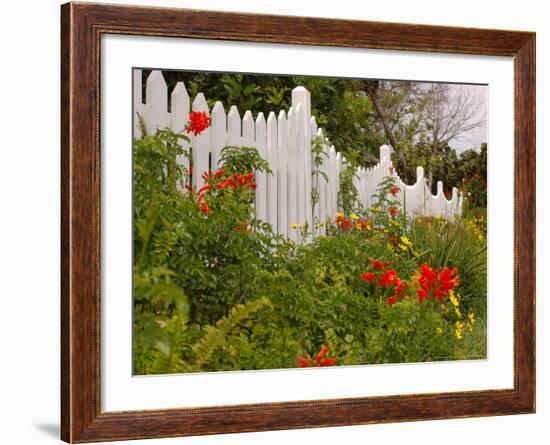 Border Garden, New Smyrna Beach, Florida-Lisa S. Engelbrecht-Framed Photographic Print