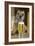 Border Terrier in Pub with Beer-null-Framed Photographic Print