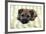 Border Terrier Puppy Sitting on a Blanket-null-Framed Photographic Print