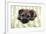 Border Terrier Puppy Sitting on a Blanket-null-Framed Photographic Print