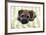 Border Terrier Puppy Sitting on a Blanket-null-Framed Photographic Print