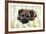 Border Terrier Puppy Sitting on a Blanket-null-Framed Photographic Print