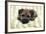 Border Terrier Puppy Sitting on a Blanket-null-Framed Photographic Print