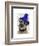 Border Terrier with Blue Bobble Hat-Fab Funky-Framed Art Print