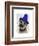 Border Terrier with Blue Bobble Hat-Fab Funky-Framed Art Print