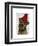 Border Terrier with Red Bobble Hat-Fab Funky-Framed Art Print