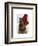 Border Terrier with Red Bobble Hat-Fab Funky-Framed Art Print