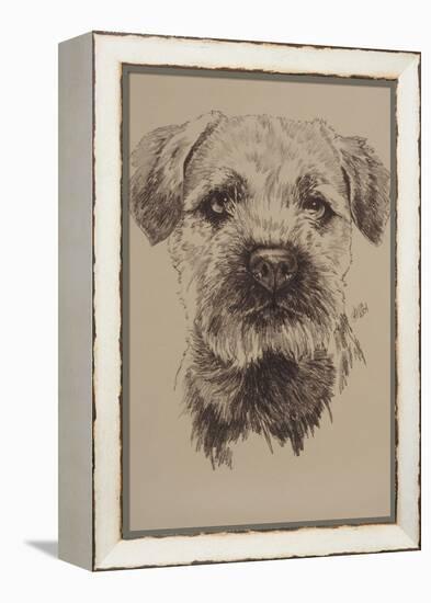 Border Terrier-Barbara Keith-Framed Premier Image Canvas