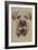 Border Terrier-Barbara Keith-Framed Giclee Print