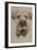 Border Terrier-Barbara Keith-Framed Giclee Print