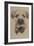 Border Terrier-Barbara Keith-Framed Giclee Print