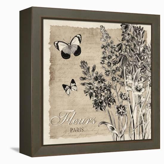 Bordered Fleurs Paris-Piper Ballantyne-Framed Stretched Canvas