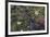 Boreal forest, lichen, moss, mushroom, autumn, Yukon, Canada-Gerry Reynolds-Framed Photographic Print