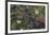 Boreal forest, lichen, moss, mushroom, autumn, Yukon, Canada-Gerry Reynolds-Framed Photographic Print