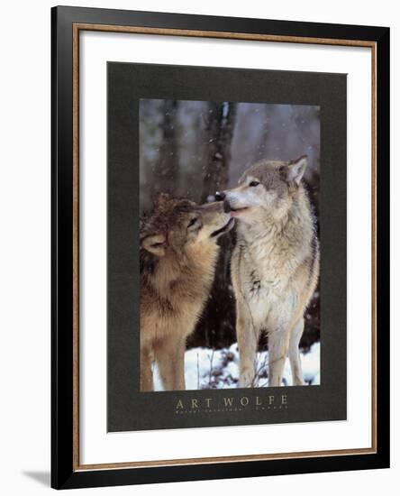 Boreal Interlude, Canada-Art Wolfe-Framed Art Print
