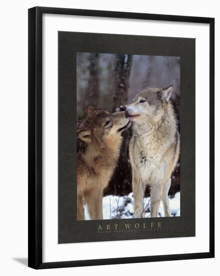 Boreal Interlude, Canada-Art Wolfe-Framed Art Print