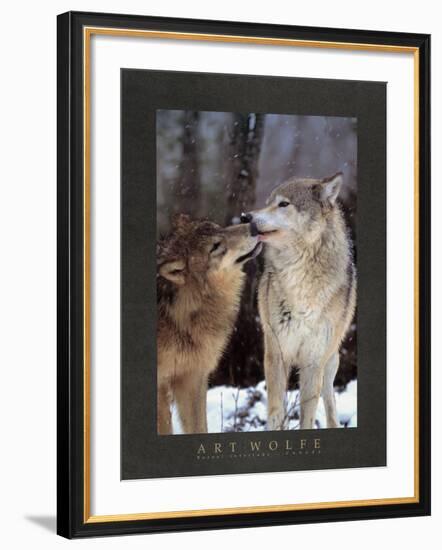 Boreal Interlude, Canada-Art Wolfe-Framed Art Print