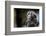 Boreal Owl-Reiner Bernhardt-Framed Photographic Print