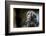 Boreal Owl-Reiner Bernhardt-Framed Photographic Print