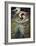 Boreas, 1903-John William Waterhouse-Framed Premium Giclee Print