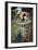 Boreas, 1903-John William Waterhouse-Framed Premium Giclee Print