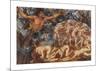 Boreas and the Fallen Leaves-Evelyn De Morgan-Mounted Premium Giclee Print