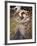 Boreas-John William Waterhouse-Framed Giclee Print