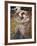 Boreas-John William Waterhouse-Framed Giclee Print