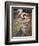 Boreas-John William Waterhouse-Framed Premium Giclee Print
