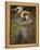 Boreas-John William Waterhouse-Framed Premier Image Canvas