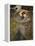 Boreas-John William Waterhouse-Framed Premier Image Canvas