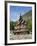 Borgund Stave Church, Norway-Gavin Hellier-Framed Photographic Print