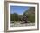 Borgund Stave Church, Sogn Og Fjordane, Norway, Scandinavia, Europe-Hans Peter Merten-Framed Photographic Print