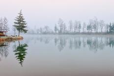 Fir Trees Reflecting in Still Lake Water on Cold Misty Morning-Boris Stroujko-Photographic Print