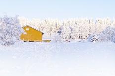 Winter Snowy Landscape. Wooden Yellow House and Forest Covered by Snow. the Bright Morning Sun of A-Borisenkov Andrei-Photographic Print