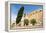 Borj, Fort, El Kef or Le Kef, Tunisia-Nico Tondini-Framed Premier Image Canvas