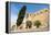 Borj, Fort, El Kef or Le Kef, Tunisia-Nico Tondini-Framed Premier Image Canvas