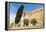 Borj, Fort, El Kef or Le Kef, Tunisia-Nico Tondini-Framed Premier Image Canvas