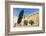 Borj, Fort, El Kef or Le Kef, Tunisia-Nico Tondini-Framed Photographic Print