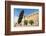 Borj, Fort, El Kef or Le Kef, Tunisia-Nico Tondini-Framed Photographic Print